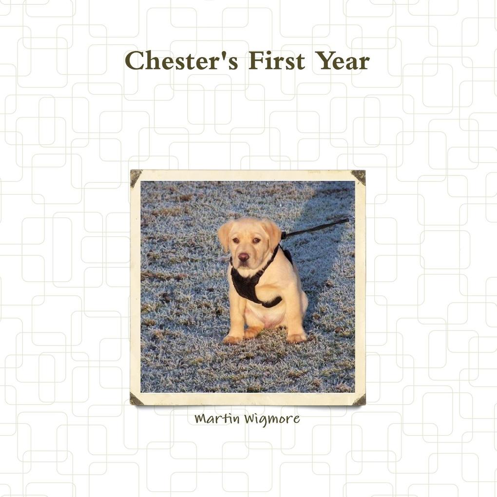 Chester‘s First Year