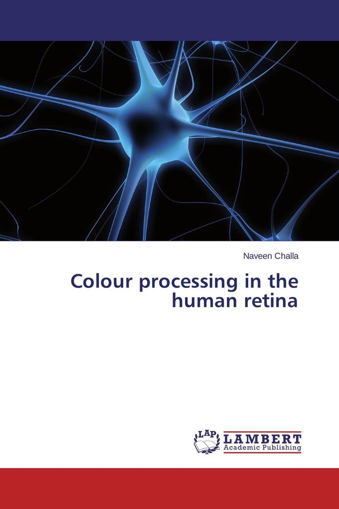 Colour processing in the human retina