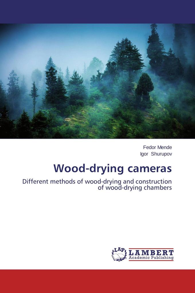 Wood-drying cameras