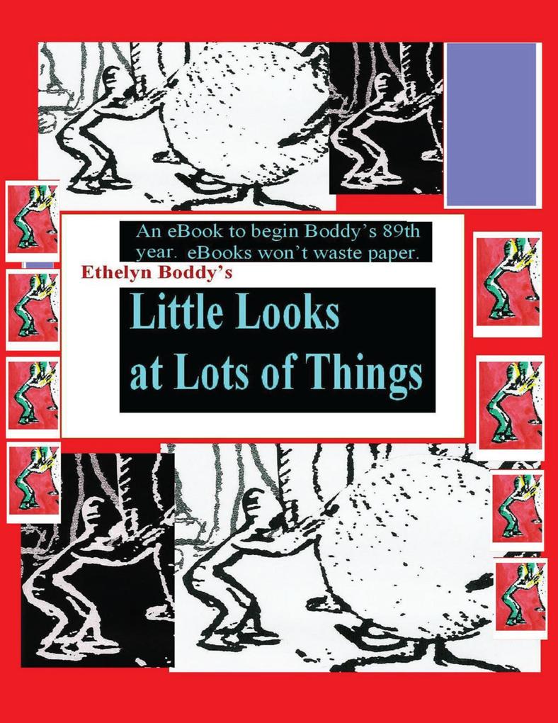 Little Looks At Lots of Things