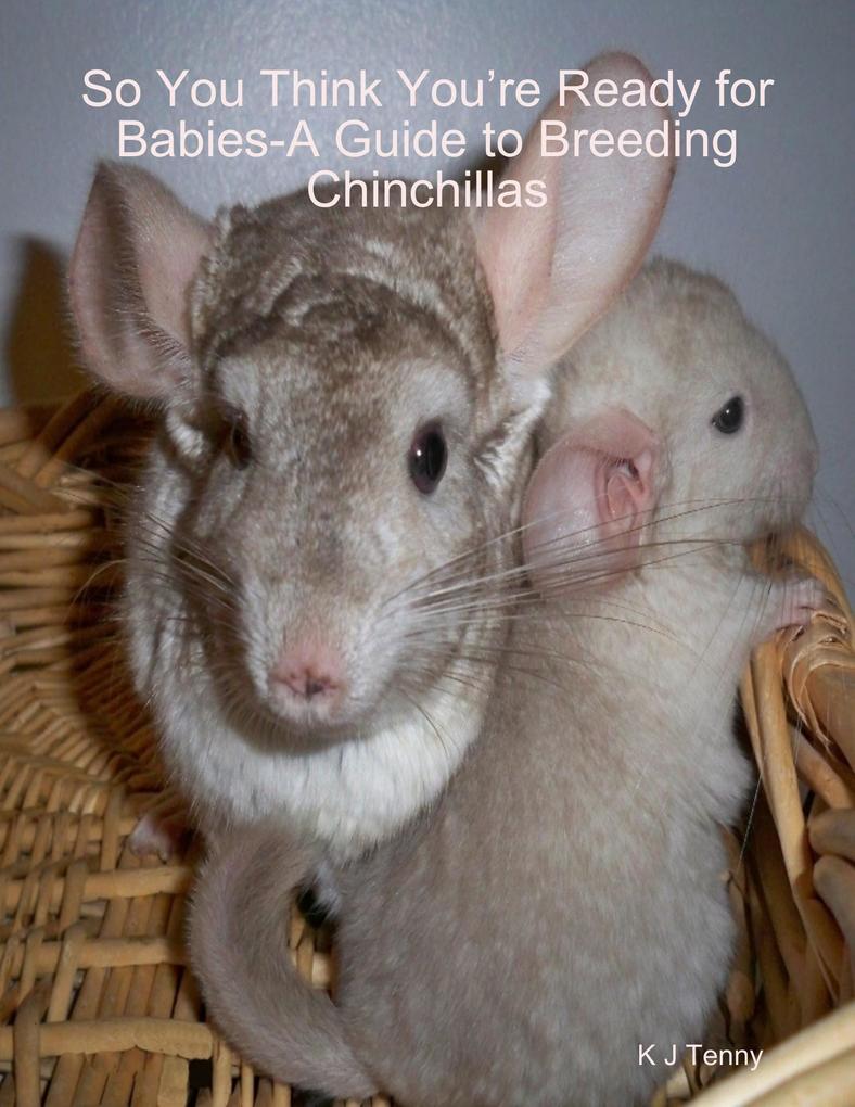So You Think You‘re Ready for Babies - A Guide to Breeding Chinchillas