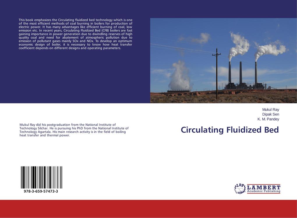 Circulating Fluidized Bed