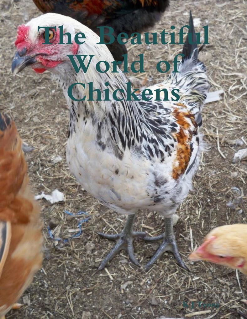 The Beautiful World of Chickens