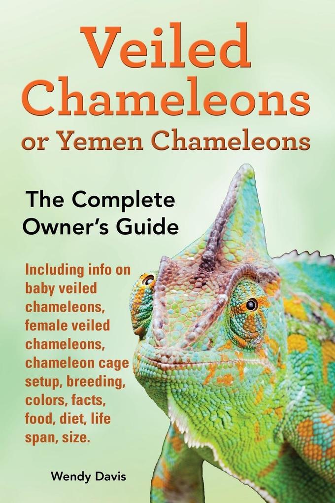 Veiled Chameleons or Yemen Chameleons as pets. info on baby veiled chameleons female veiled chameleons chameleon cage setup breeding colors facts food diet life span size.