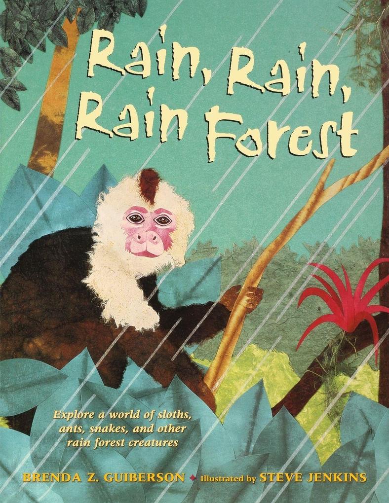 Rain Rain Rain Forest