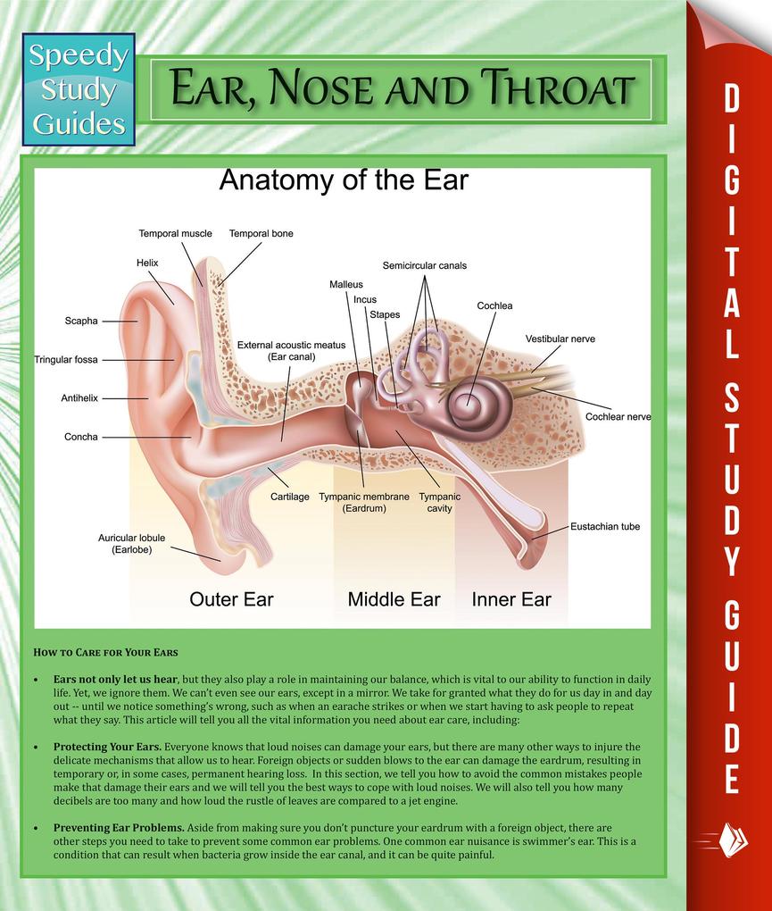 Ear Nose and Throat