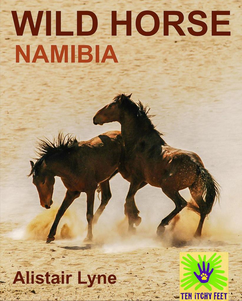 Namibia - Wild Horse