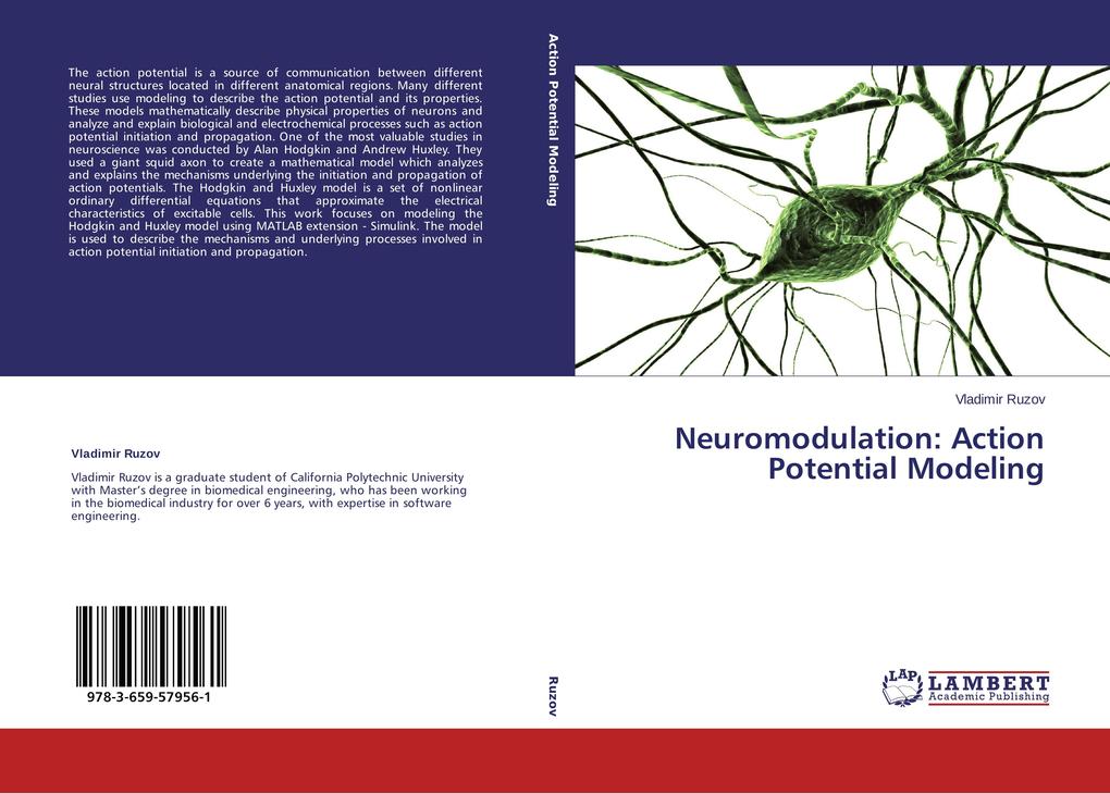 Neuromodulation: Action Potential Modeling