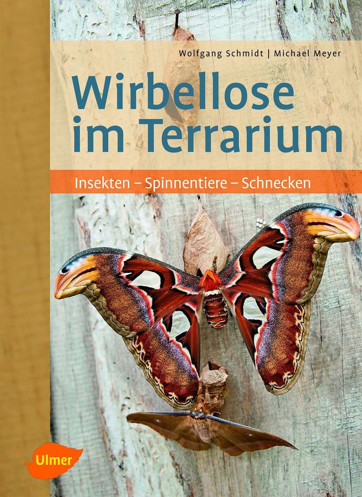 Wirbellose im Terrarium - Wolfgang Schmidt/ Michael Meyer/ Dr. Michael Meyer