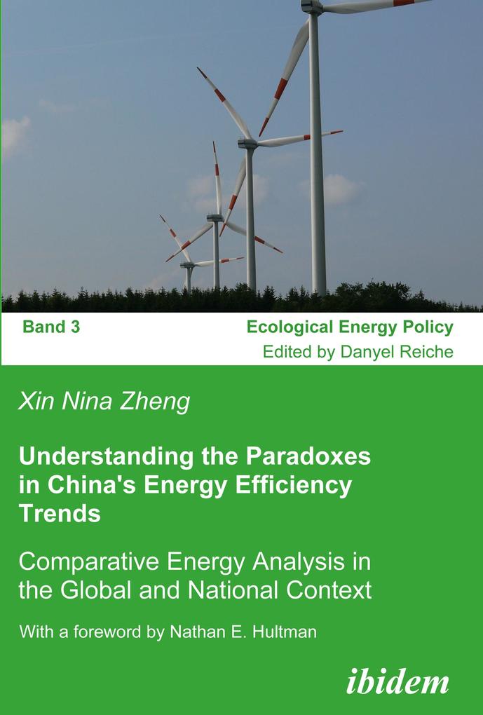 Understanding the Paradoxes in China‘s Energy Efficiency Trends