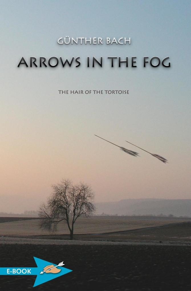 Arrows In The Fog