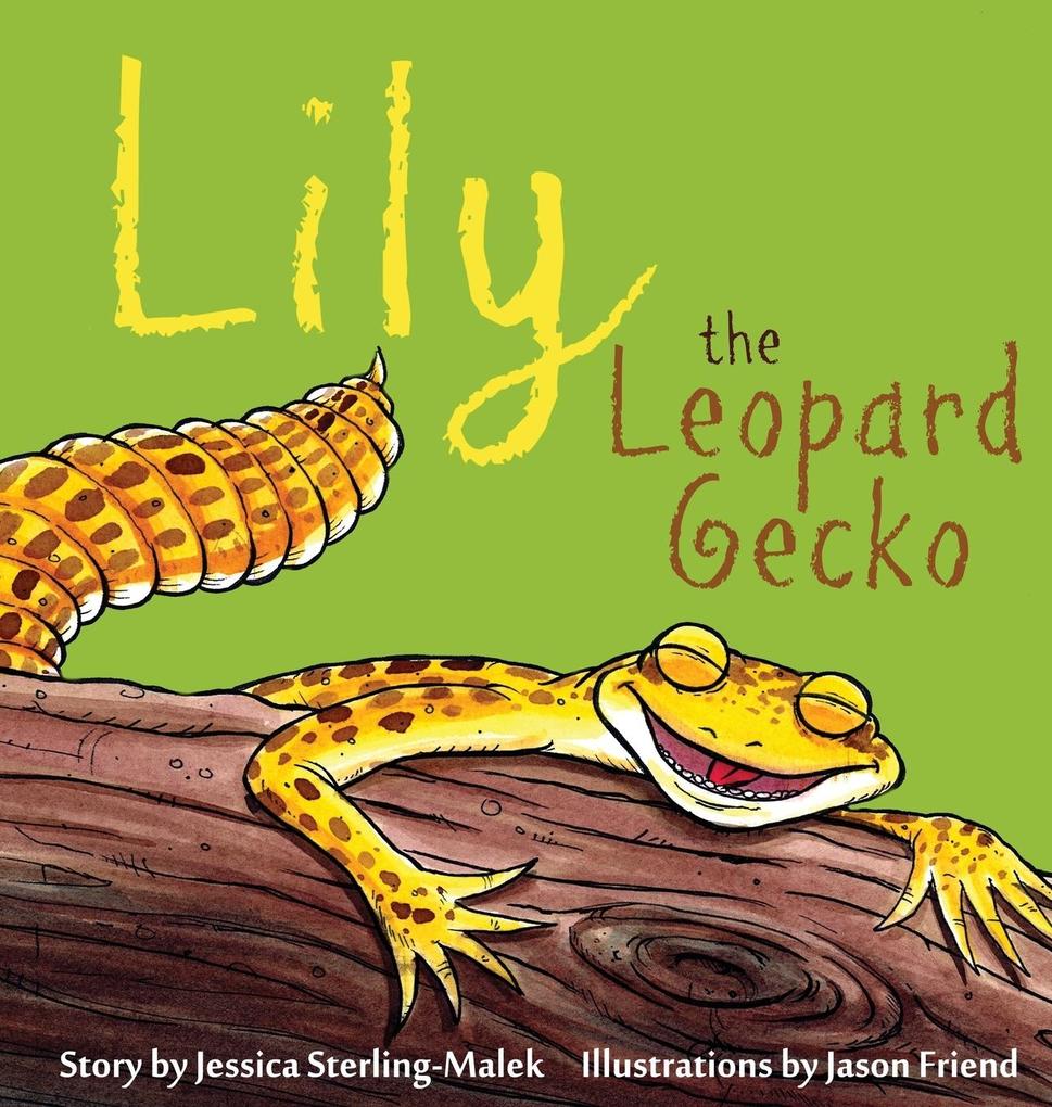  the Leopard Gecko