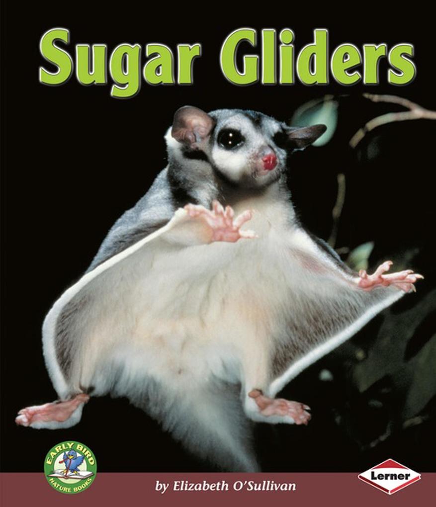 Sugar Gliders als eBook Download von Elizabeth O´Sullivan - Elizabeth O´Sullivan