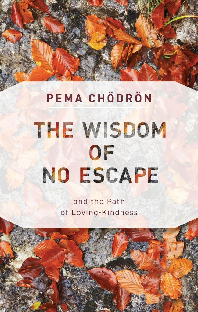 Shambhala The Wisdom Of No Escape