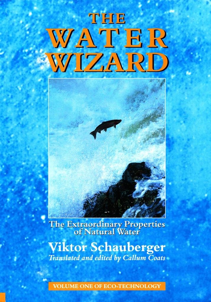 The Water Wizard - The Extraordinary Properties of Natural Water