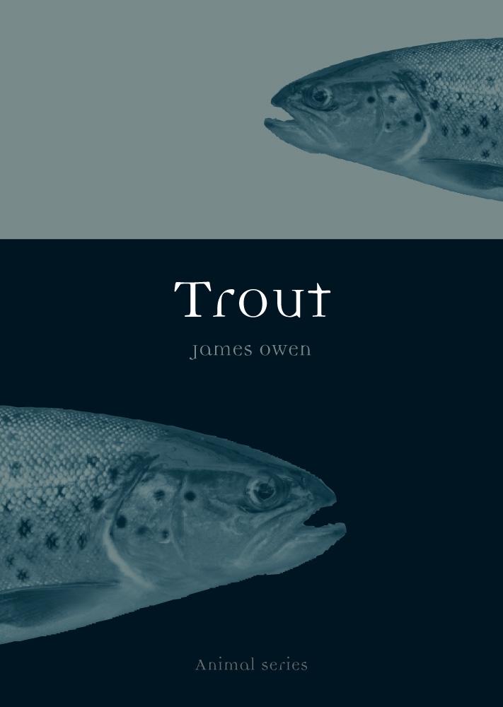 Trout - Owen James Owen