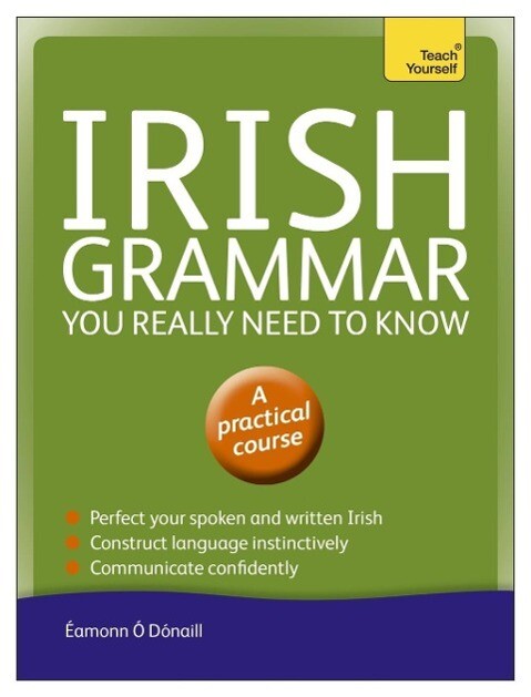 Irish Grammar You Really Need to Know: Teach Yourself