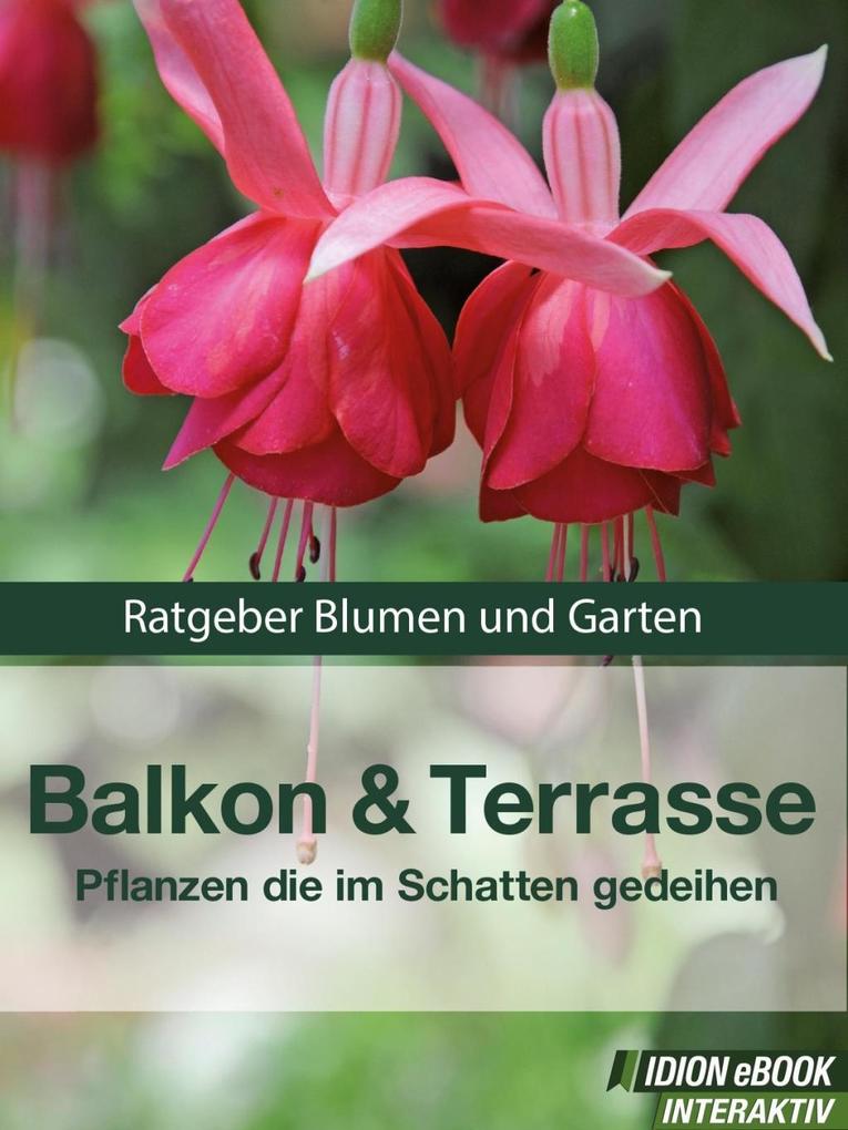 Balkon & Terasse - Pflanzen die im Schatten gedeihen