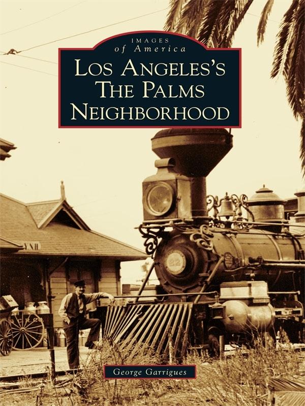 Los Angeles‘s The Palms Neighborhood