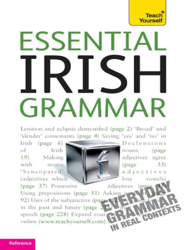 Essential Irish Grammar: Teach Yourself