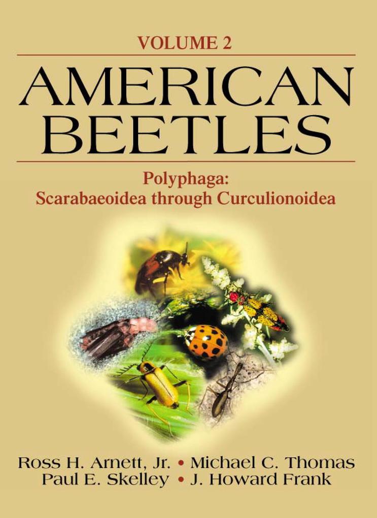 American Beetles Volume II