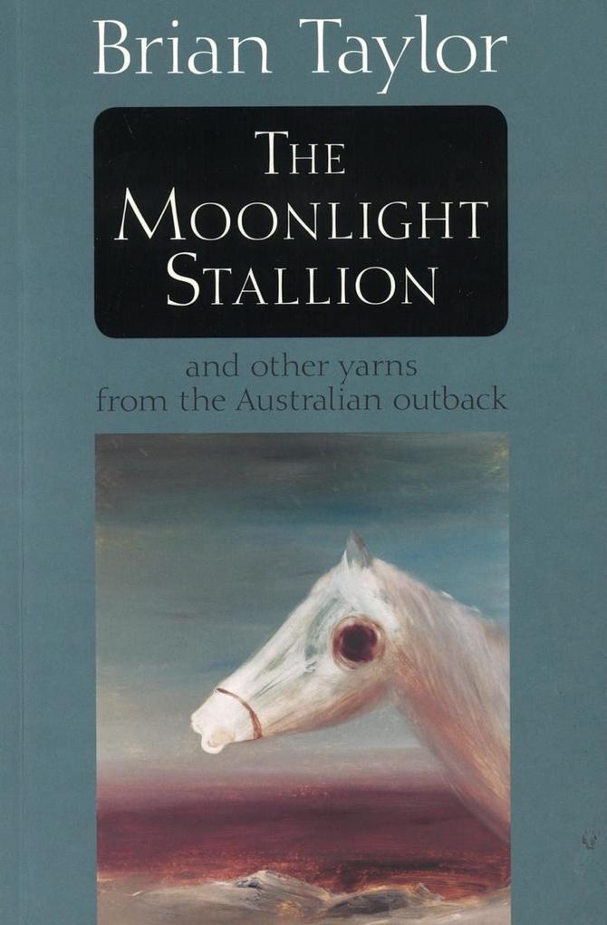 The Moonlight Stallion