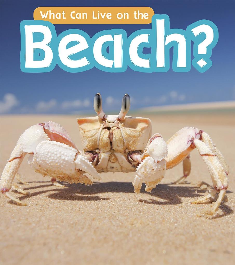 What Can Live at the Beach?