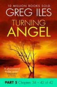 Turning Angel: Part 5 Chapters 34 to 42