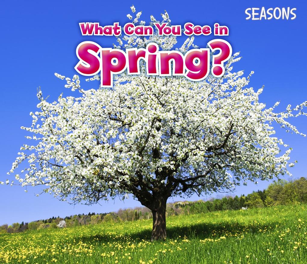 What Can You See In Spring?