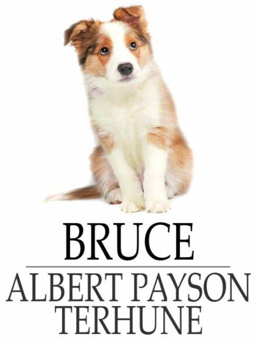 Bruce