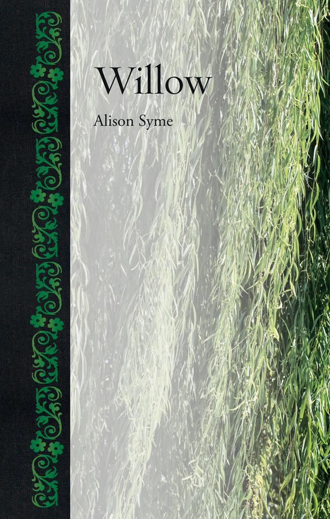 Willow - Syme Alison Syme