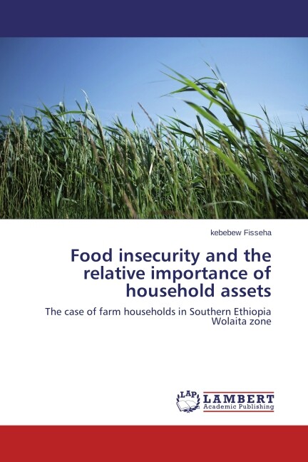 Food insecurity and the relative importance of household assets