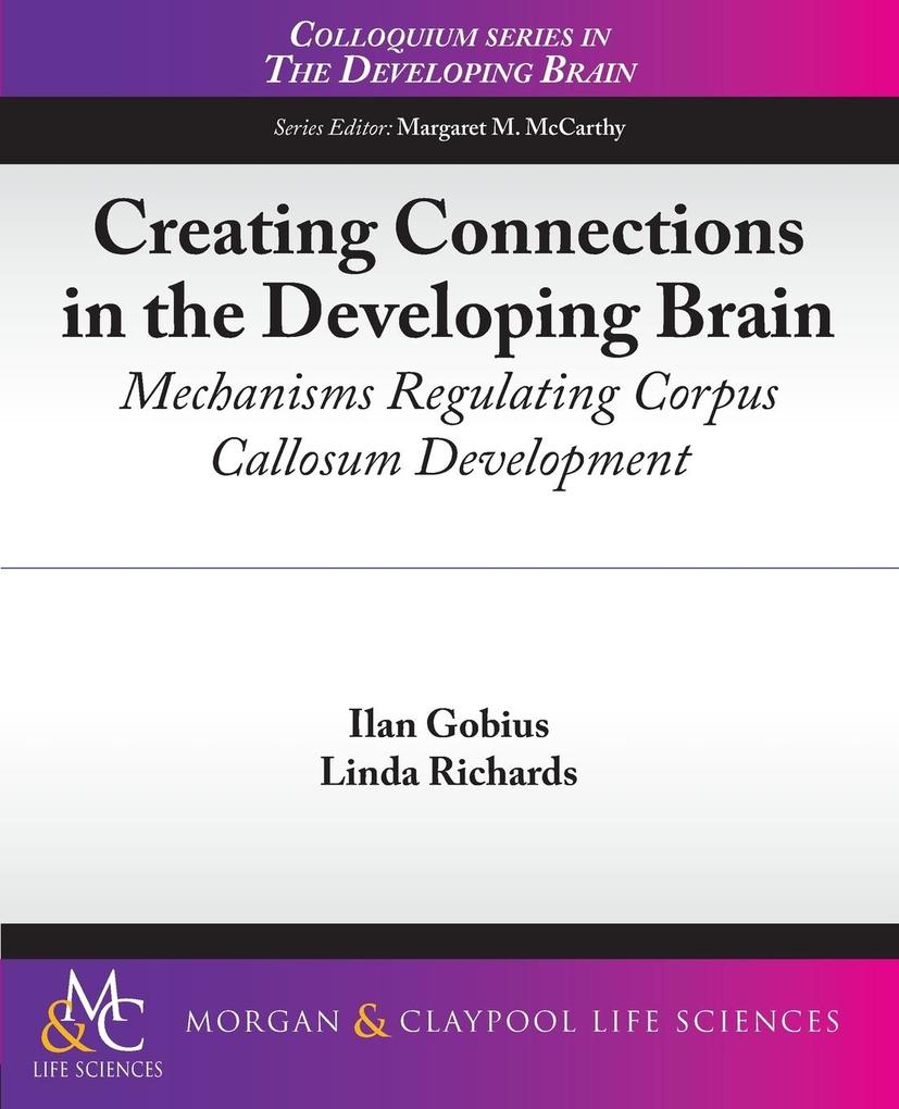 Creating Connections in the Developing Brain
