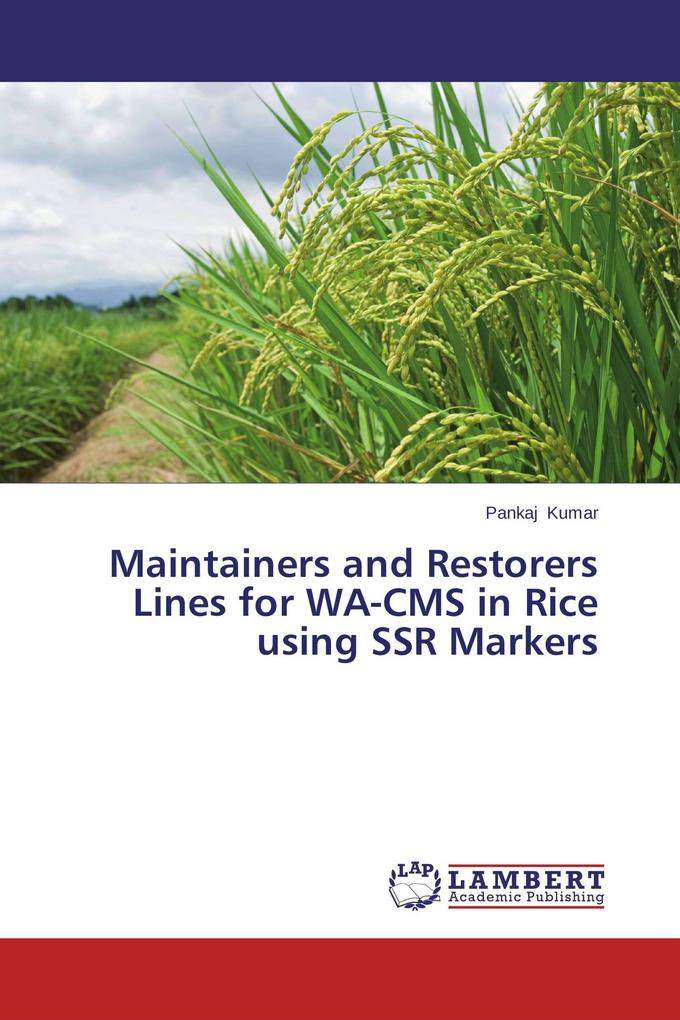 Maintainers and Restorers Lines for WA-CMS in Rice using SSR Markers