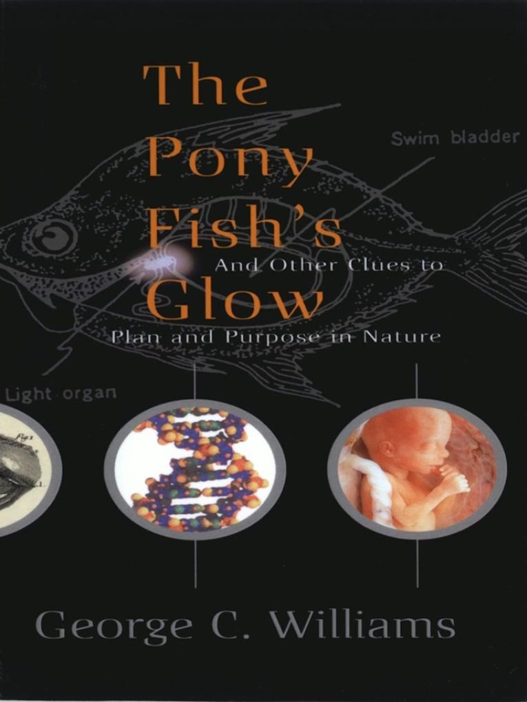 The Pony Fish‘s Glow