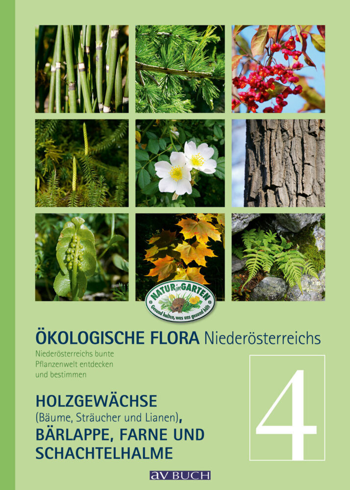 Ökologische Flora Niederösterreichs.Bd.4