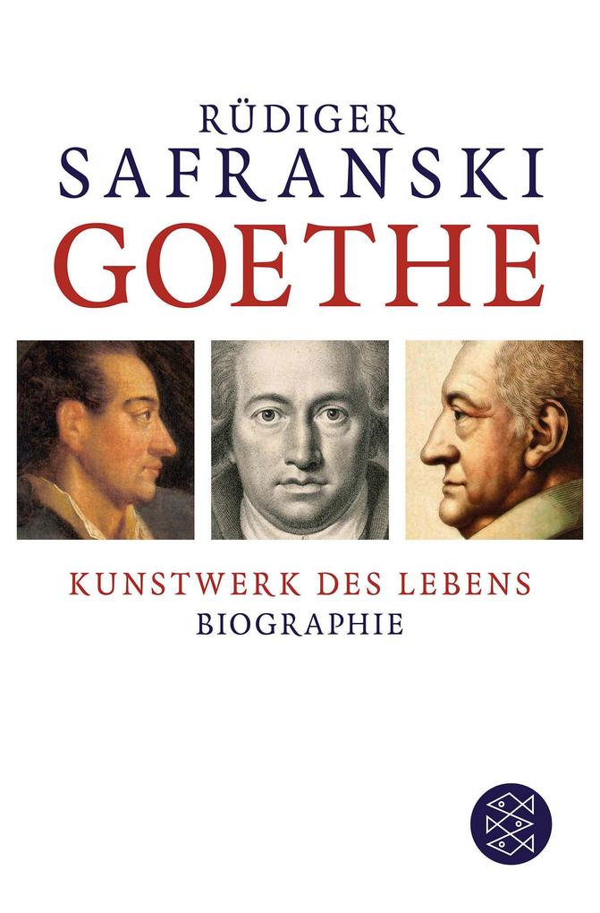 Goethe Rüdiger Safranski - Bild 3