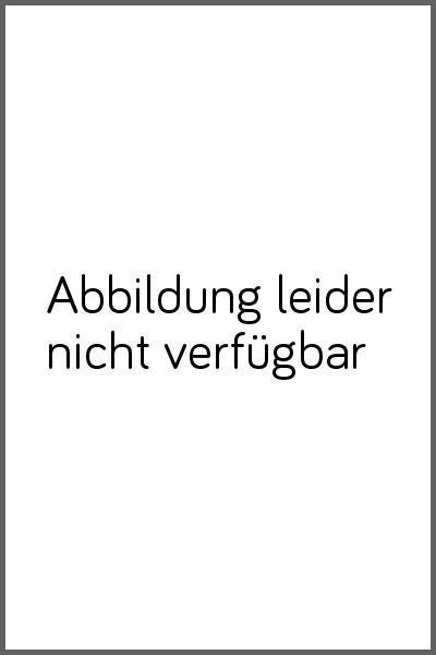 Transparenz in globalen Lieferketten der Automobilindustrie Ansatze zur Logistik- und Produktionsoptimierung
