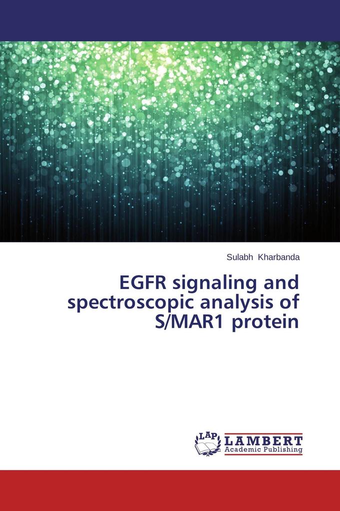 EGFR signaling and spectroscopic analysis of S/MAR1 protein