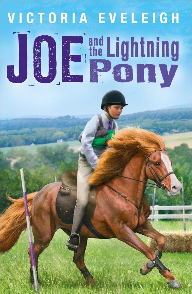 Joe and the Lightning Pony