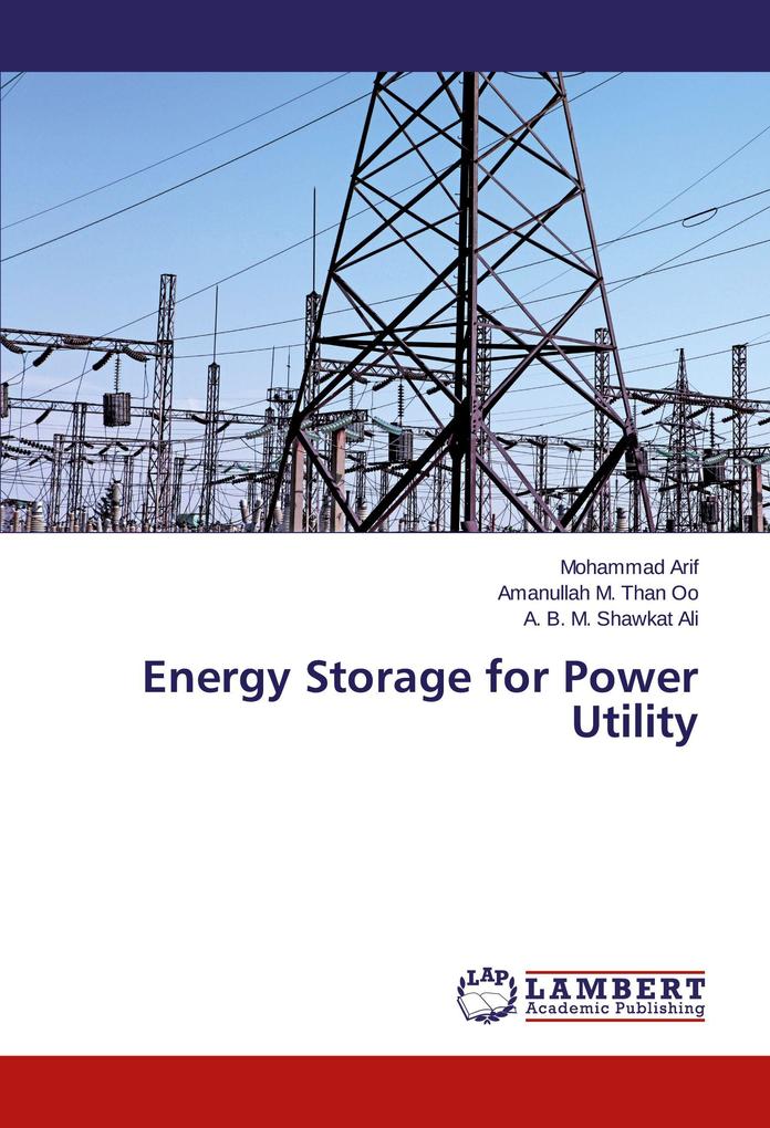 Energy Storage for Power Utility
