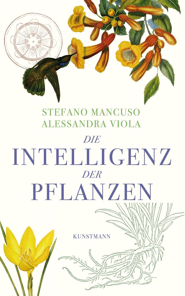 Intelligenz der Pflanzen im radio-today - Shop