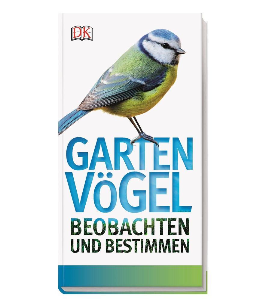 Dorling Kindersley Gartenvögel Beobachten Und Bestimmen, Ratgeber Von Dk Verlag, Mark Ward - Bild 4