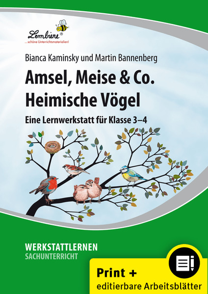 Amsel Meise & Co: Heimische Vögel