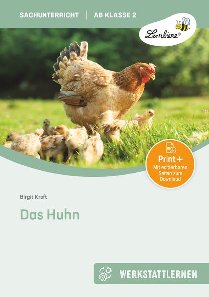 Das Huhn. Grundschule Sachunterricht Klasse 2