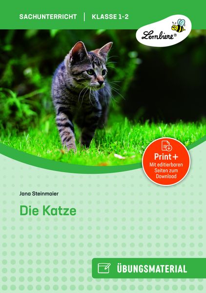 Die Katze
