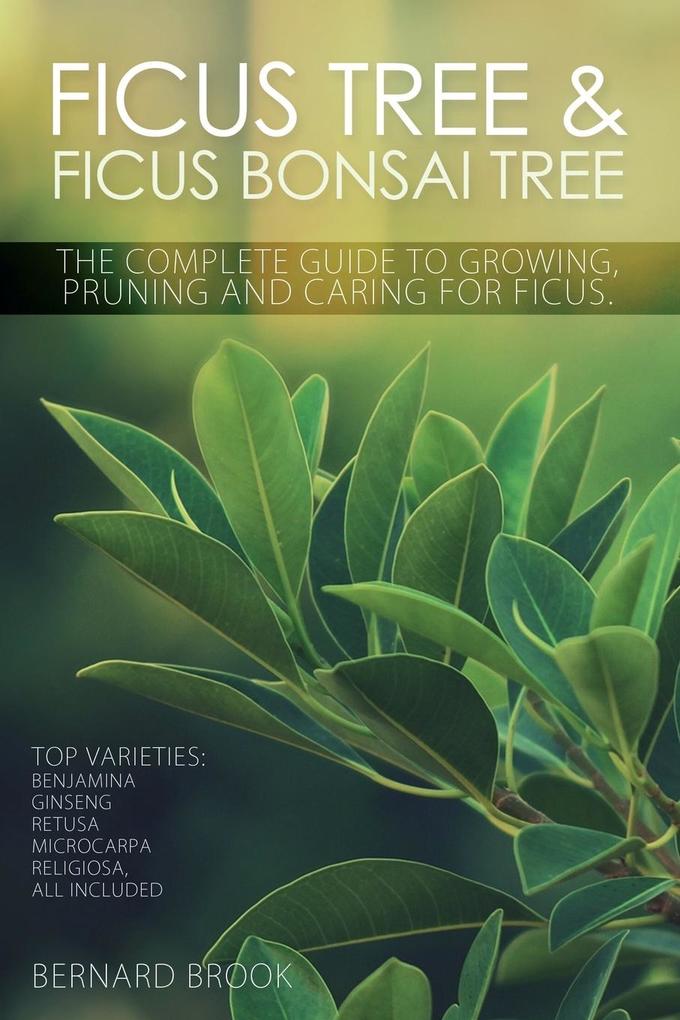 Ficus Tree and Ficus Bonsai Tree. The Complete Guide to Growing Pruning and Caring for Ficus. Top Varieties