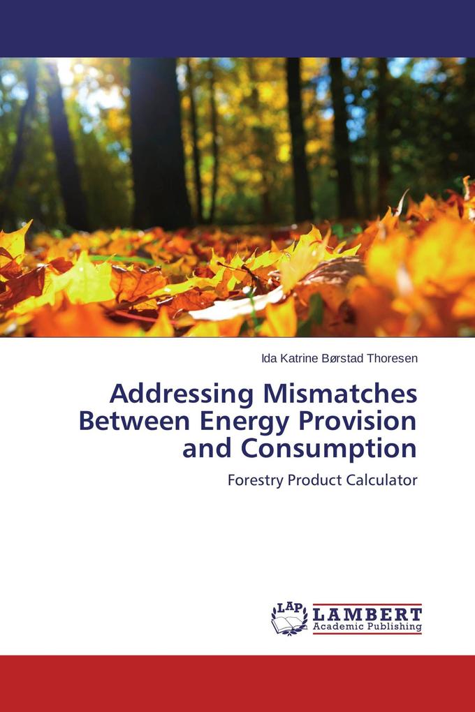 Addressing Mismatches Between Energy Provision and Consumption