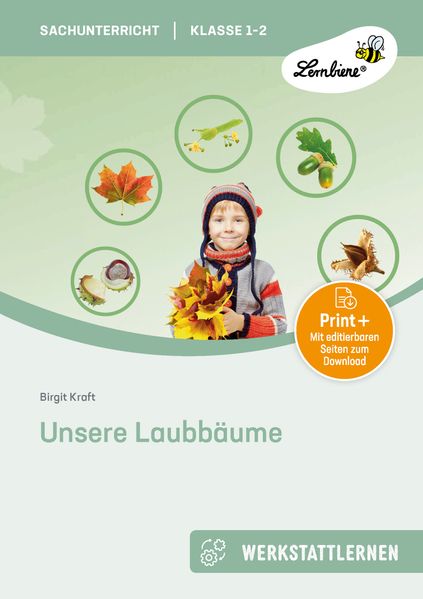 Unsere Laubbäume. Grundschule Sachunterricht Klasse 1-2