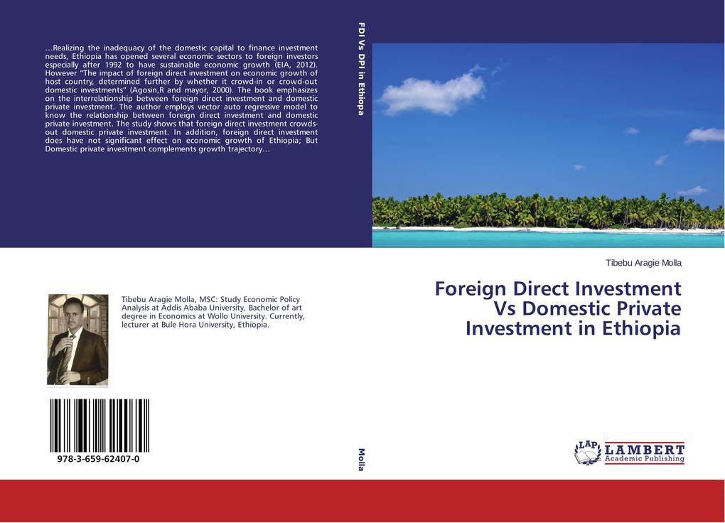 Foreign Direct Investment Vs Domestic Private Investment in Ethiopia als Buch von Tibebu Aragie Molla - Tibebu Aragie Molla